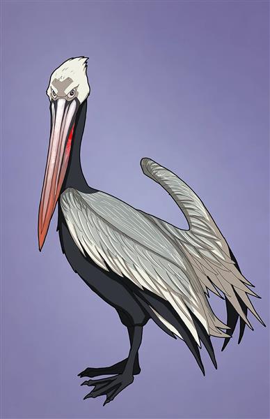 پرنده تاریکی نقاشی دیجیتال