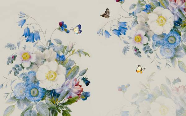 نقاشی گلهای رنگی زیبا و پروانه ها پوستر دیواری جذاب