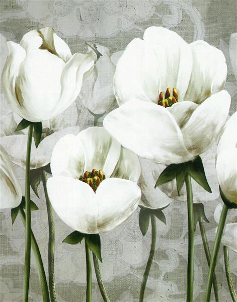 نقاشی گل های سفید زیبا