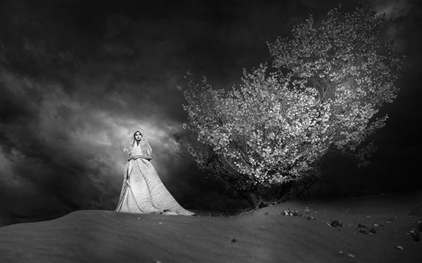 عروس زیبا تصویر سیاه و سفید