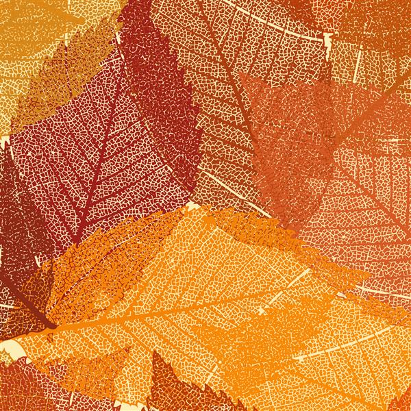 قالب برگهای خشک پاییزی فایل وکتور
