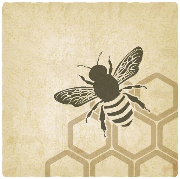 زنبور عسل پس زمینه قدیمی - تصویر برداری