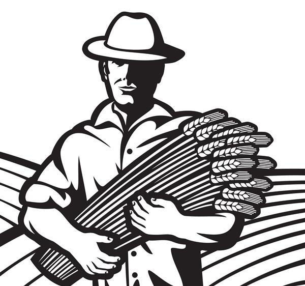 کارگر کشاورز که گندمی در دست دارد