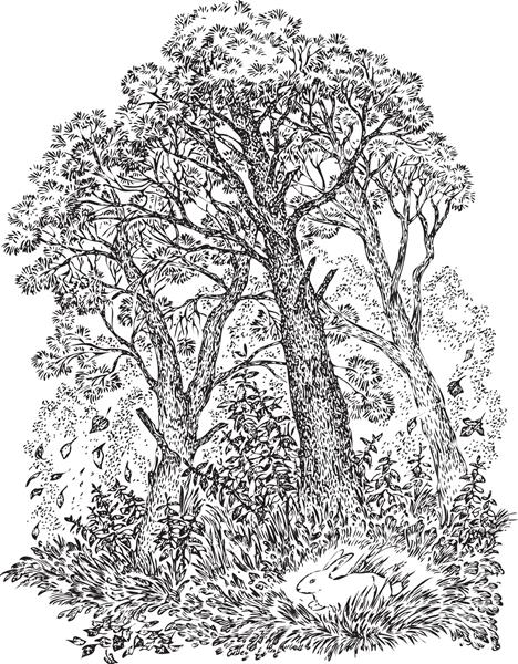 تصویر وکتور دستی با منظره جنگل و خرگوش