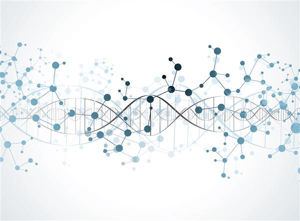 زمینه ساختار مولکول DNA تصویر وکتور