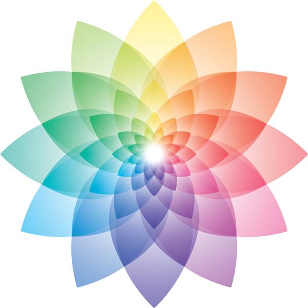 چرخ رنگی زیبای گل لوتوس وکتور