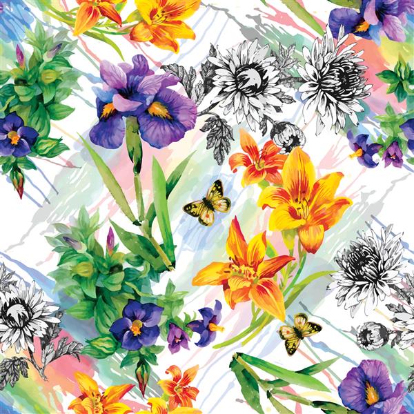 باغ لیلی زنبق بنفشه آفریقا آبرنگ با پروانه ها در تصویر زمینه تصویر سفید