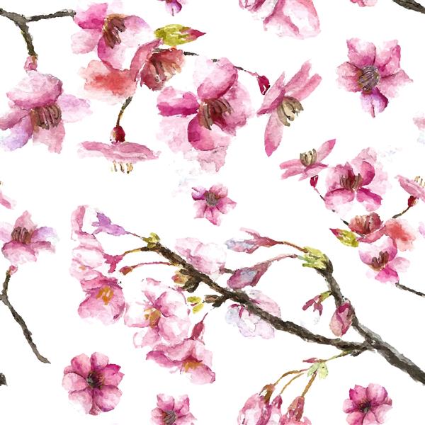 الگوی شرقی آبرنگ با شاخه ساکورا بافت شرقی یکپارچه با شکوفه گیلاس دستی جدا شده زمینه طبیعی آسیا به صورت بردار