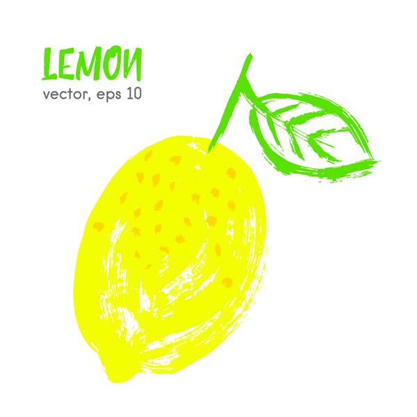 تصویر میوه ای طرح دار لیمو مواد غذایی برس کشیده شده با دست نماد وکتور زیست و محیط زیست الگوی طراحی آرم مفهومی برای محصولات ارگانیک برداشت غذای سالم گیاهخواری رژیم غذایی غذایی خام