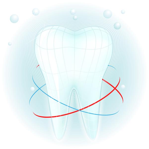 تصویر وکتور از دندان سفید