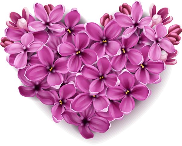 گلهای یاس بنفش به شکل قلب تصویری با موضوع روز ولنتاین و