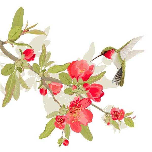 کارت با شکوفه و کالیبرای ساکورا