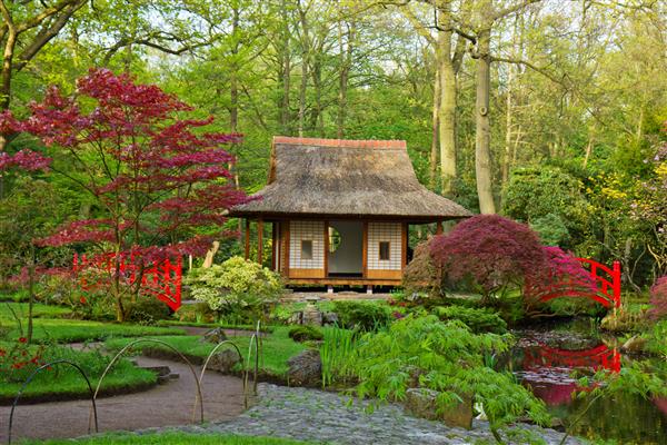 منظره معمولی باغ ژاپنی دن هاگ هلند