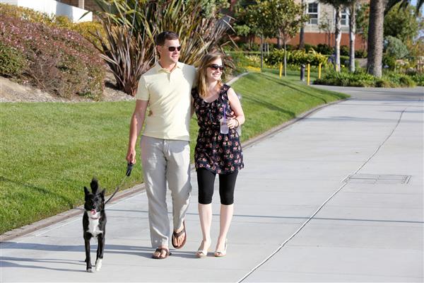 زن و شوهر جوان با سگ خود قدم می زنند