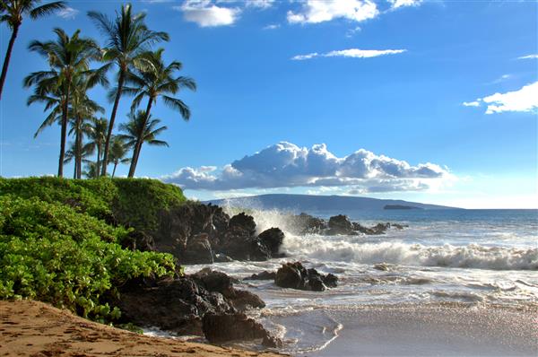 ساحل اقیانوس گرمسیری هنگام غروب خورشید مکان دیدنی و زیبا برای مقصد سفر صحنه آرام ساحلی هاوایی با درختان نخل و امواج اقیانوس که به ساحل سنگ گدازه می پاشند
