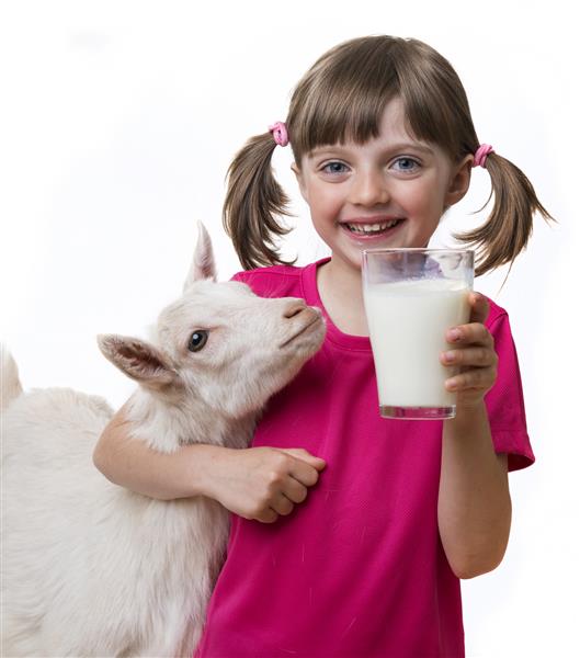 دختر بچه ای که شیر بز سالم می نوشد