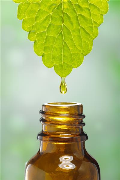 مایع از برگ به عنوان نمادی برای داروهای گیاهی جایگزین پایین می آید