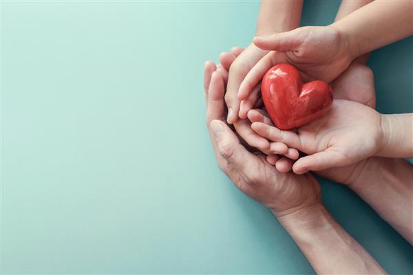 دستان خانواده ای که قلب قرمز دارند بیمه سلامت قلب اهدای عضو خیریه داوطلب خوشحال مسئولیت اجتماعی CSR روز جهانی قلب روز جهانی بهداشت روز جهانی بهداشت روان مفهوم خانه پرورش دهنده