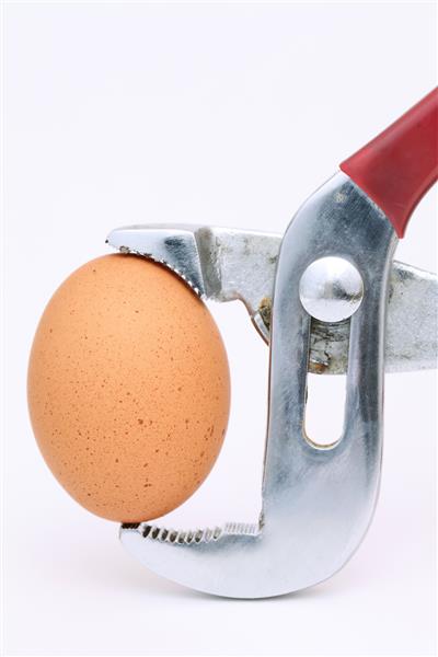 تخم مرغ قهوه ای در انبر روی زمینه سفید نگه داشته می شود