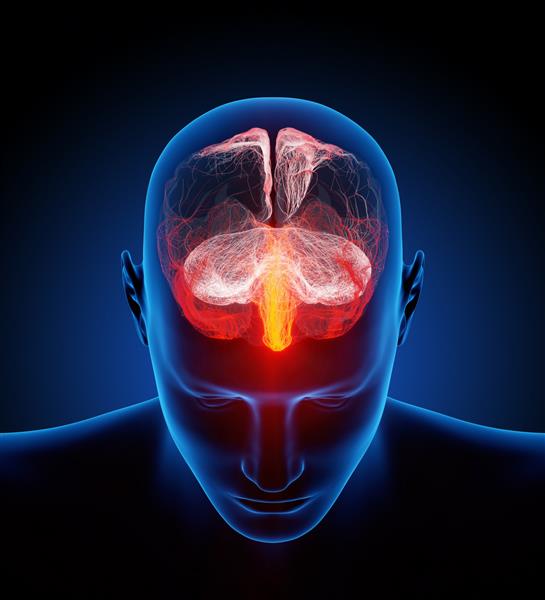 مغز انسان با میلیون ها اعصاب کوچک نشان داده شده است - رندر مفهومی سه بعدی