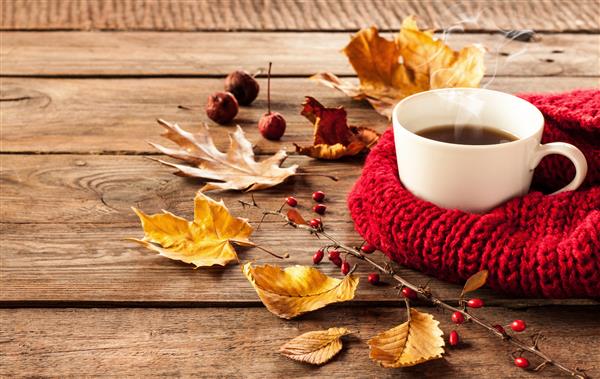 قهوه داغ و برگ های پاییز در زمینه چوب جذاب - مفهوم استراحت فصلی