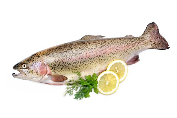 ماهی قزل آلای رنگین کمان با گیاهان تازه ای که روی زمینه سفید جدا شده است