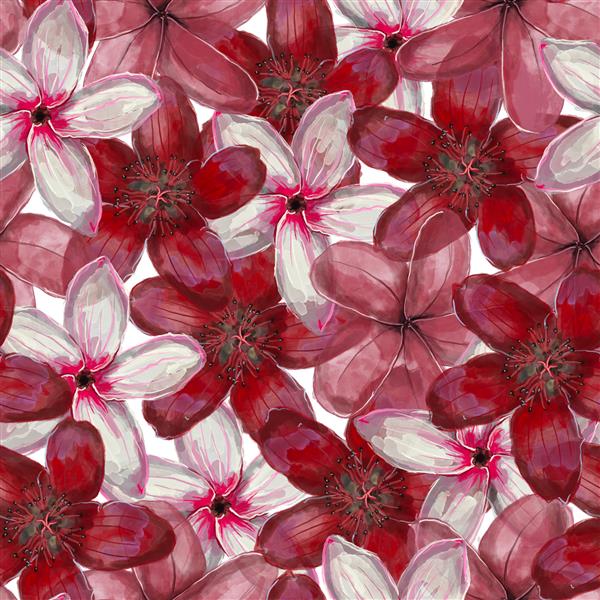 گلهای سفید و صورتی قرمز تابستانی الگوی یکپارچه است