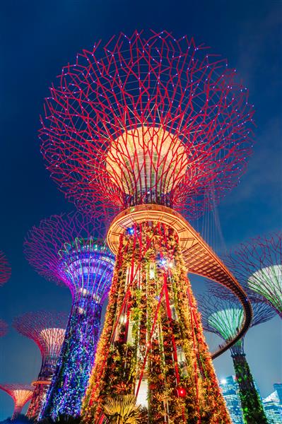 سنگاپور نمای شبانه گاردنز بای بی