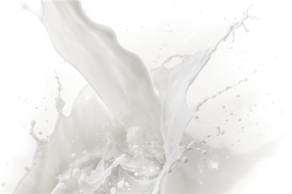 پاشیدن شیر روی پس زمینه سفید