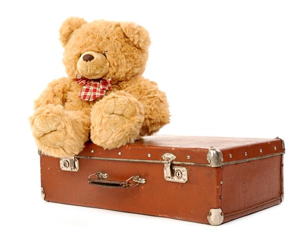 خرس عروسکی چمدان