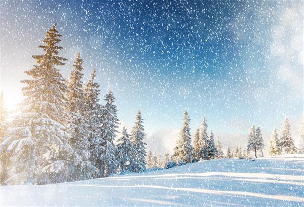 چشم انداز کوهستانی خارق العاده ای که از نور خورشید می درخشد صحنه زمستانی دراماتیک کارپات اوکراین اروپا دنیای زیبایی فیلتر برش خورده اثر تونینگ اینستاگرام سال نو مبارک