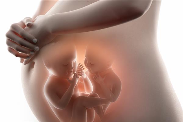 عکس جنین در شکم مادر