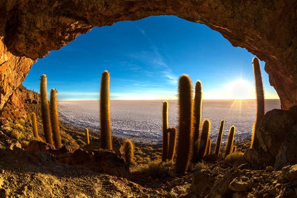 غار در جزیره کاکتوس در صحرای نمکی اویونی هنگام طلوع آفتاب بولیوی