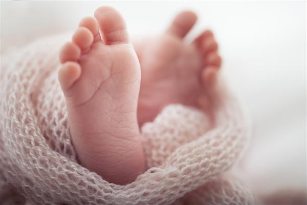 پاهای نرم نوزاد تازه متولد شده در برابر پتو صورتی