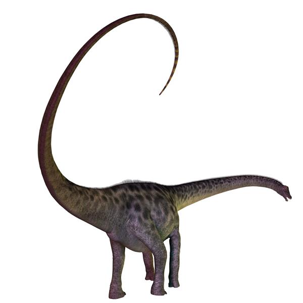 دیپلودوکوس یک دایناسور ساوروپود گیاهخوار بود که در دوره ژوراسیک آمریکای شمالی زندگی می کرد