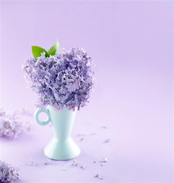 گلدان آبی با یک دسته گل بهار بنفش