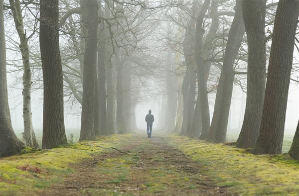 مفهوم احساسات مالیخولیایی مردی که به تنهایی در یک خط در یک صبح مه آلود راه می رود