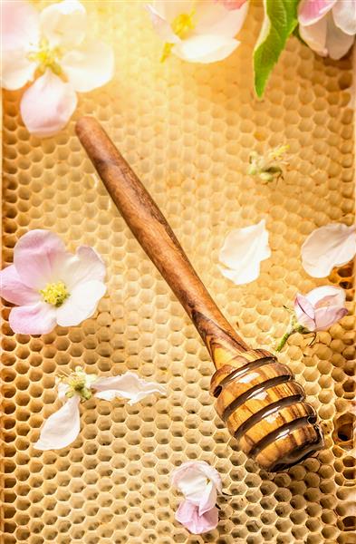 عیار چوبی عسلی روی لانه زنبوری با شکوفه تازه نمای بالا از نزدیک