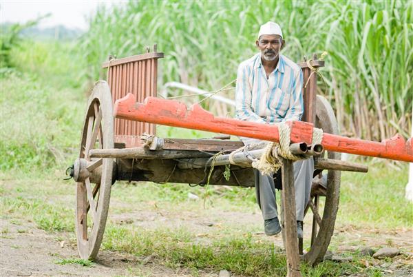 کشاورز در گاری گاو نر خالی دهکده روستایی سالونکوادی آمباجوگی بید ماهاراشترا هند