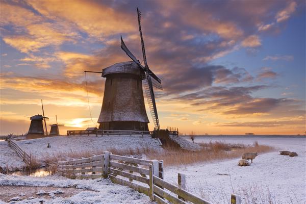 آسیاب های بادی سنتی هلند در یک صبح زیبا زمستانی هنگام طلوع آفتاب