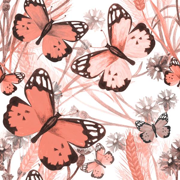 طرح بدون رنگ آبرنگ با پروانه های صورتی گل های وحشی در زمینه سفید