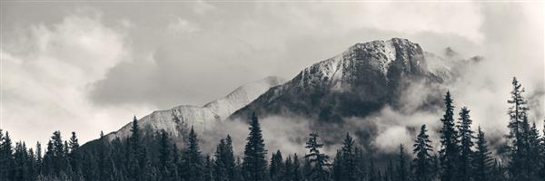 چشم انداز پارک ملی بانف با کوه های مه آلود و جنگل در کانادا