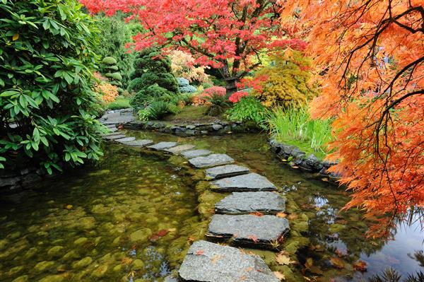 حوض و مسیر باغ ژاپنی در داخل باغ های جزیره ونکوور انگلیس کلمبیا کانادا