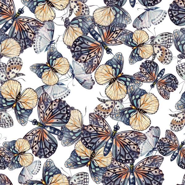 الگوی آبرنگ با پروانه های زیبا تصویر