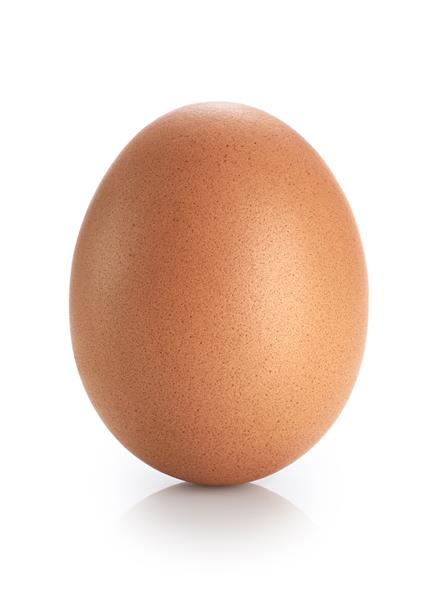 تخم مرغ جدا شده بر روی زمینه سفید