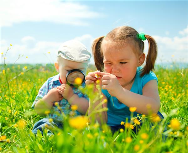 کودکان با استفاده از ذره بین در حال دیدن گلهای مزرعه در علفزارهای سبز هستند