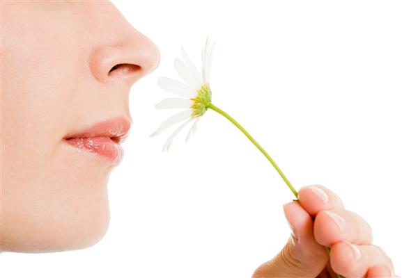دختری که روی زمینه سفید گل را بو می کند