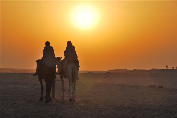 دو شتر سوار به خورشید در صحرا