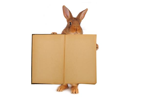 خرگوش ایستاده با کتاب قدیمی