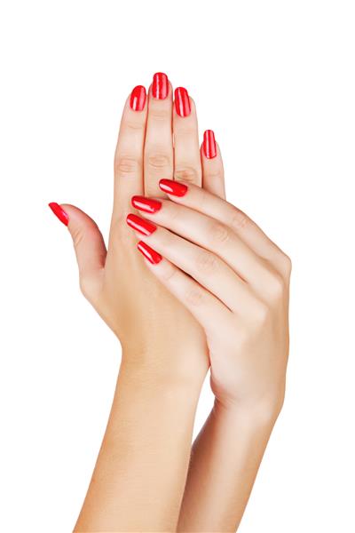 دستهای یک زن جوان با مانیکور ناخن های قرمز در پس زمینه سفید